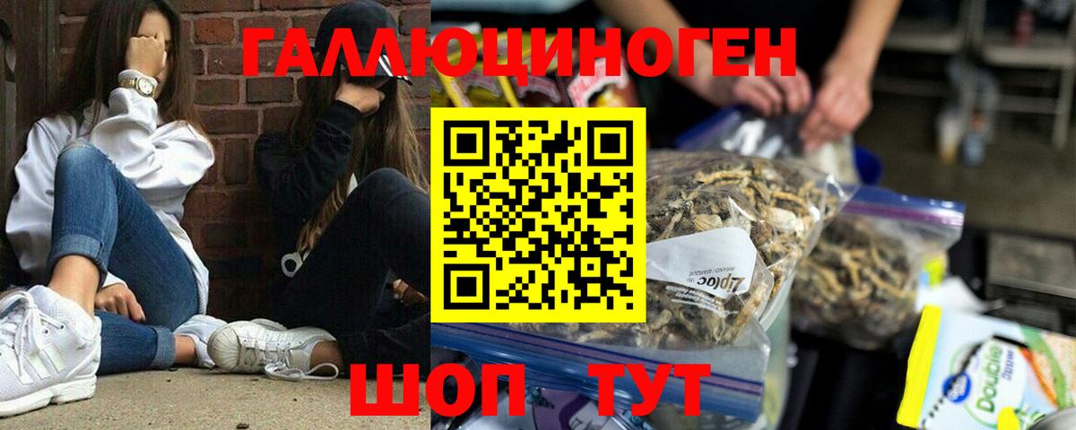 Псилоцибиновые грибы Cubensis Павлово